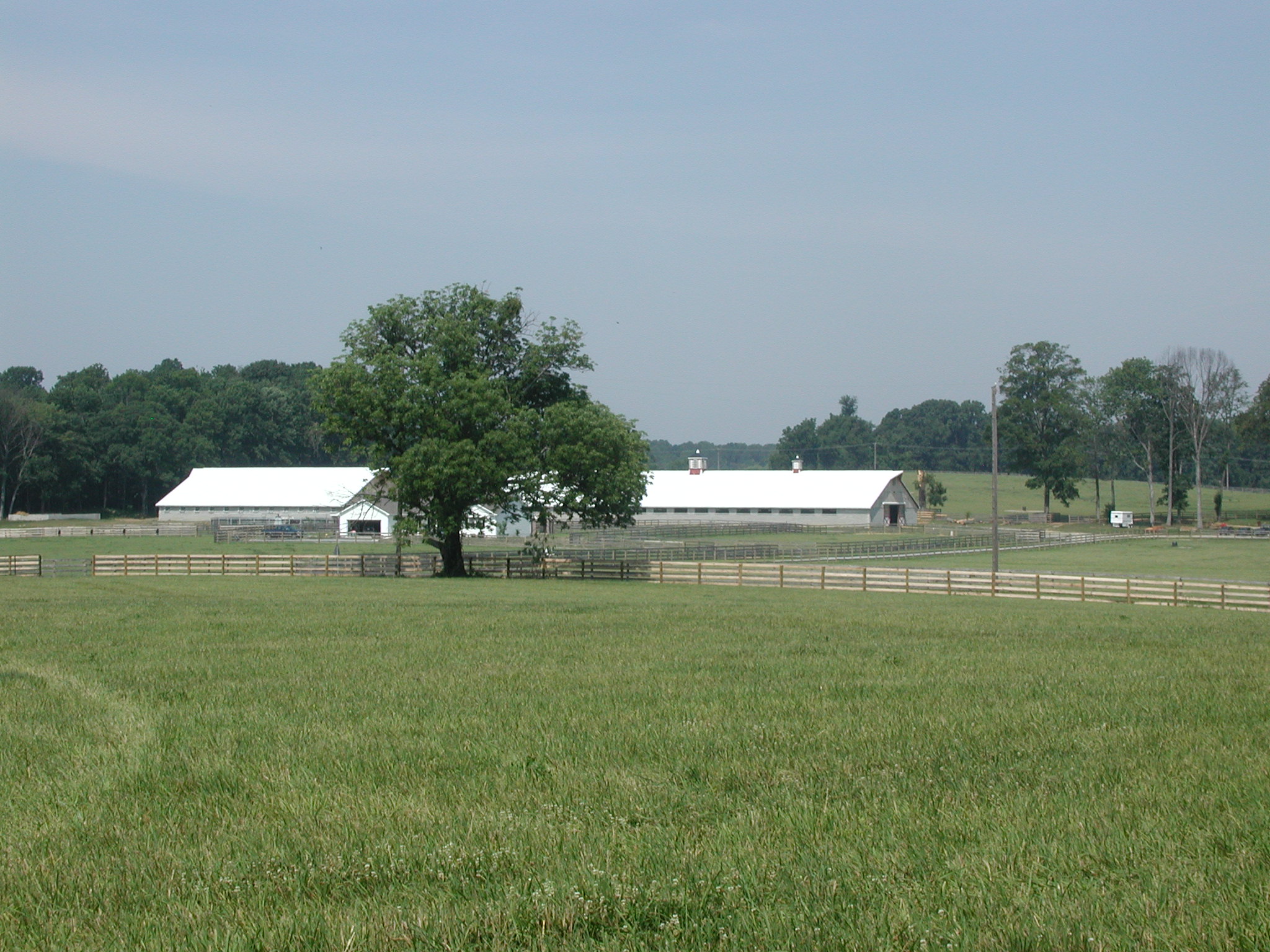 Berkely Farm