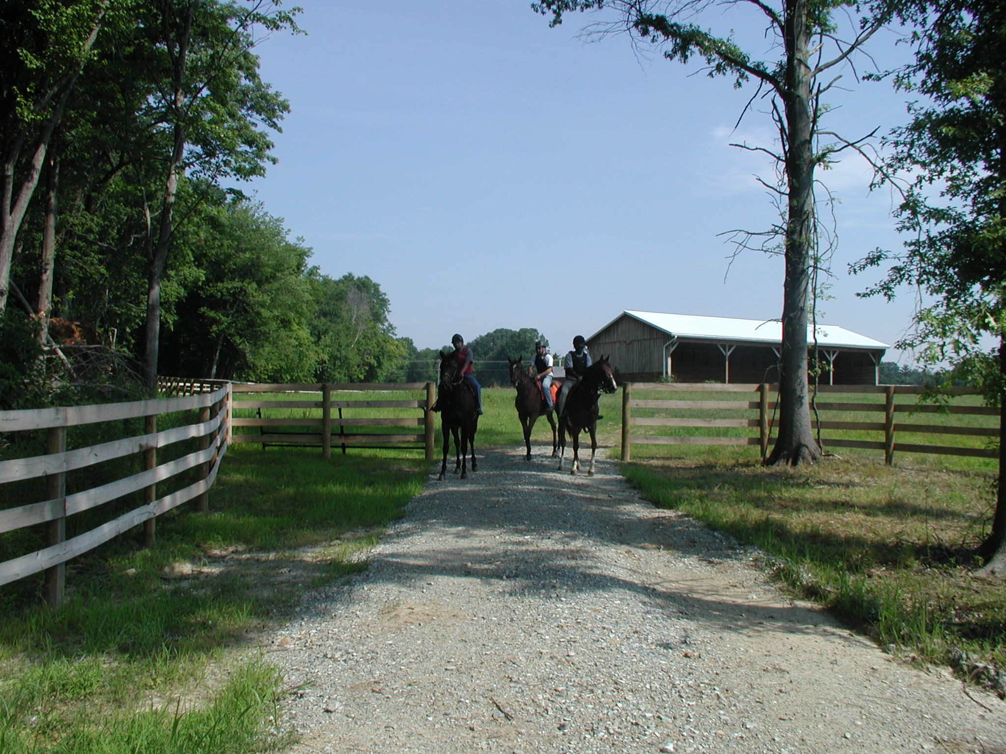Berkely Farm